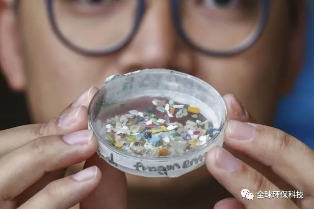 關(guān)于“微塑料”的危害，你了解多少？